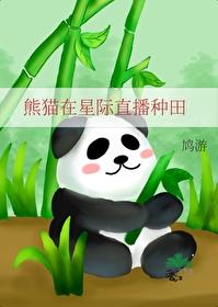 熊猫穿越到星际