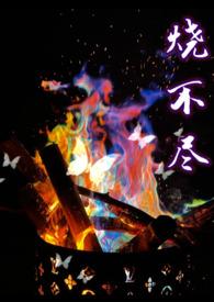 烧不尽免费