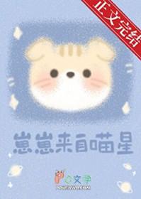 崽崽源起