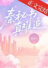 秦秘书真难追番外笔趣阁