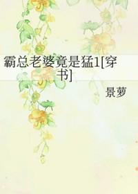 霸总的老婆