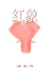 红象(公媳高H)作者