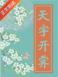 天宇开霁TXT