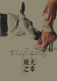 败犬之吠