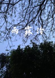 雨霖婞的