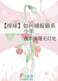 排球少年猫又年轻