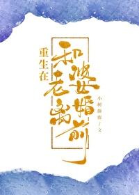 重生在和老婆离婚前by