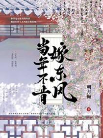 当年不肯嫁东风正午阳光