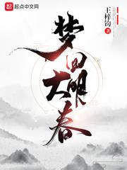 梦回大明春txt精修版