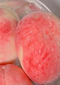 白桃(父女h)话本