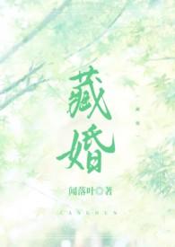 藏婚(先婚后爱)作者闻落叶百度盘