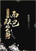 你只是个替身而已结局是什么