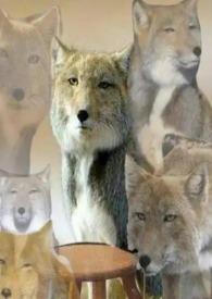 攻略各色残缺男