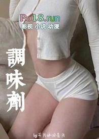 调味剂啥意思