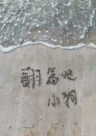 金主爸爸们也需要竞聘上床()