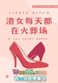 渣女每晚都在火葬场