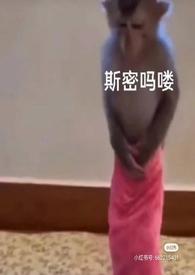 泡芙小姐的walkman