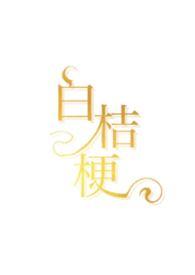 白桔梗花图片花束