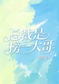总裁是榜一大哥