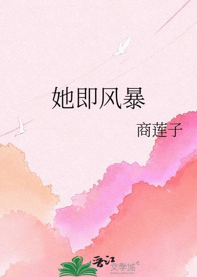 她即风暴中心TXT百度