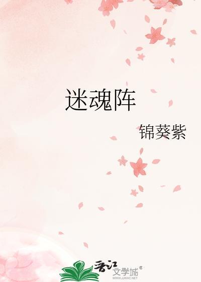 迷魂阵锦葵紫