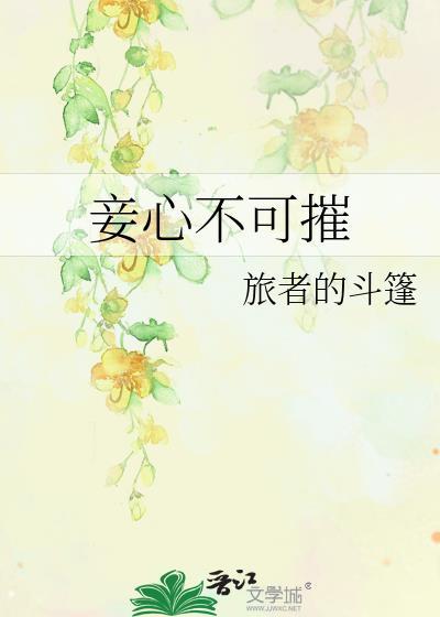 妾心不可摧旅者的斗篷讲的什么