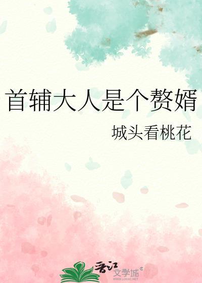 首辅大人的宠妾完整版阅读
