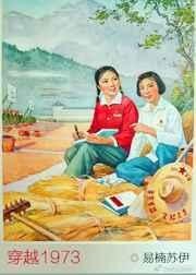 穿到1973年了怎么办莫如归完整