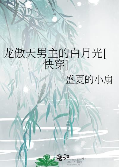 男主龙傲天的叫什么