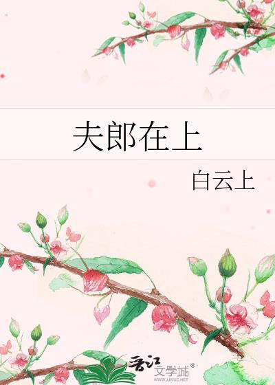 夫郎在上全集