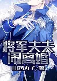 将军夫夫闹离婚菠萝笔记