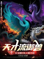 天才流