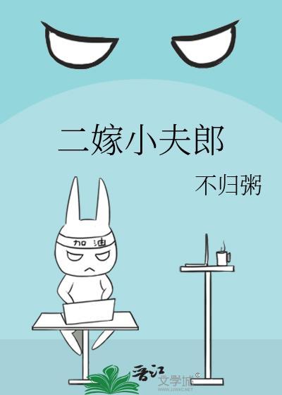 二嫁小夫郎作者不归粥