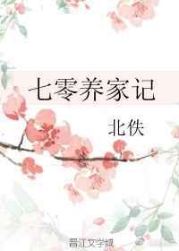 七零养家记北佚txt