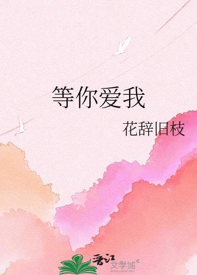 等你爱我泰剧