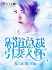 引妻入怀霸道总裁求抱抱免费阅读