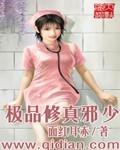 极品修真邪少电子书