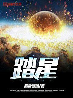 踏星银是什么身份