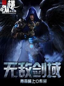 无敌剑域主角几个老婆